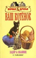 Ваш котенок. задор и обаяние.