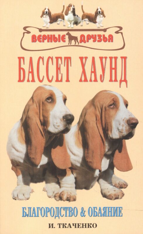 Бассет хаунд. Благородство и обаяние