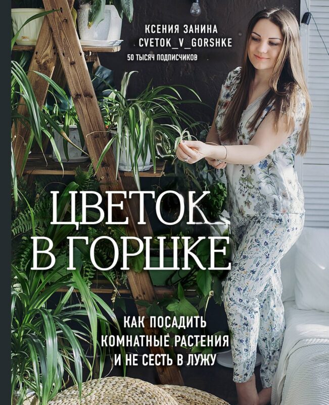 Цветок в горшке. Как посадить комнатные растения и не сесть в лужу