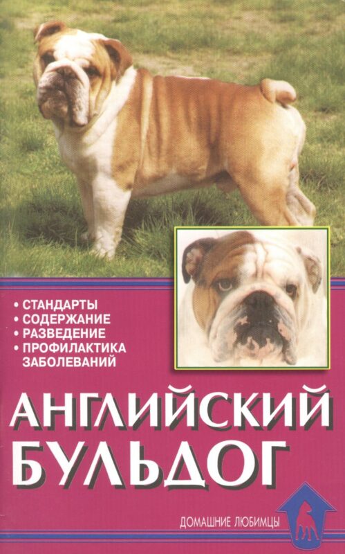 Английский бульдог. Стандарты. Содержание. Разведение. профилактика заболеваний