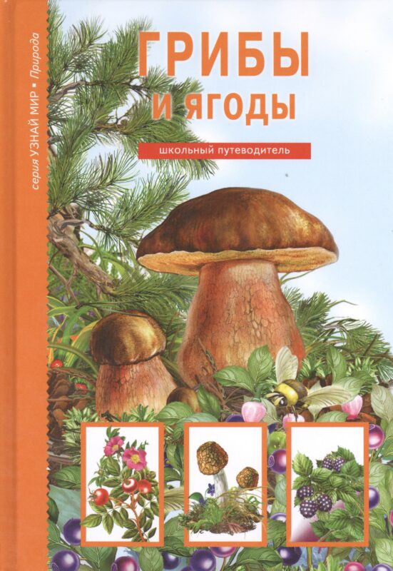 Грибы и ягоды.