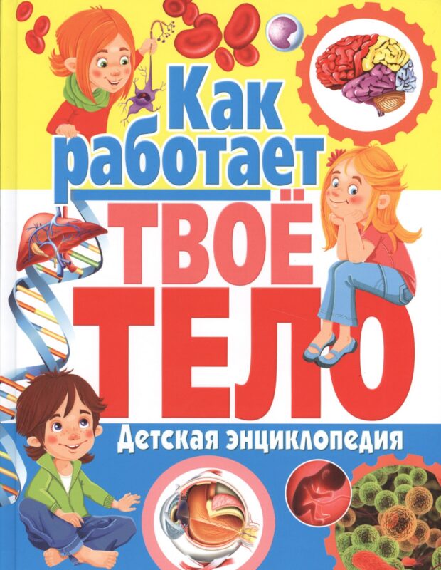 Как работает твое тело. Детская энциклопедия