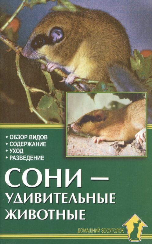 Аквар.Сони-удивительные животные