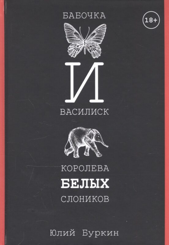 Бабочка и Василиск, Королева белых слоников