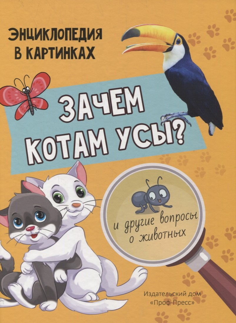 ЗАЧЕМ КОТАМ УСЫ? мат.ламин.обл, выбор.лак, мелов.бум. 215х290