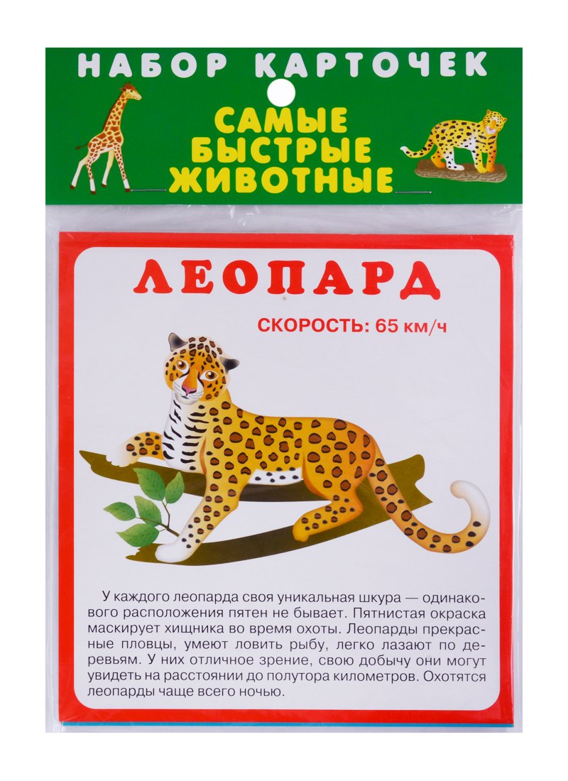 Набор карточек "Самые быстрые животные"
