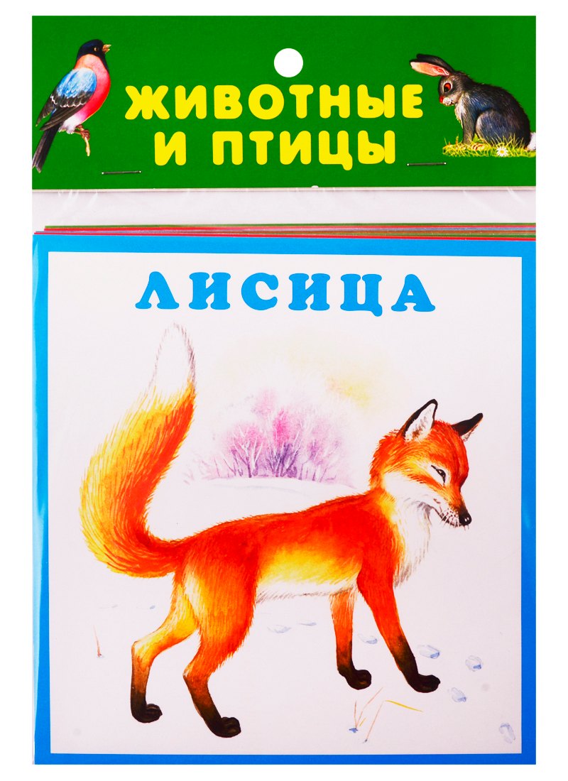 Животные и птицы. Карточки