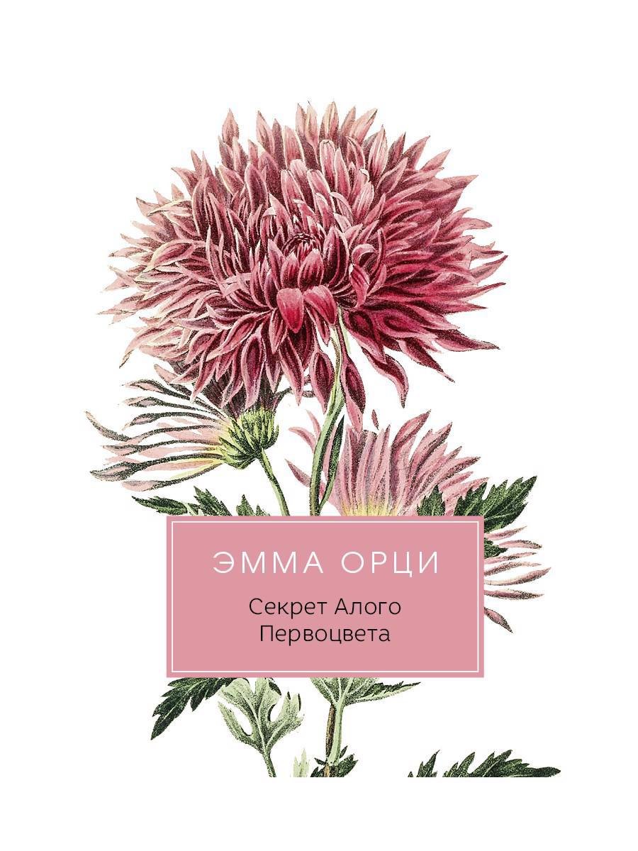 Секрет Алого Первоцвета: роман