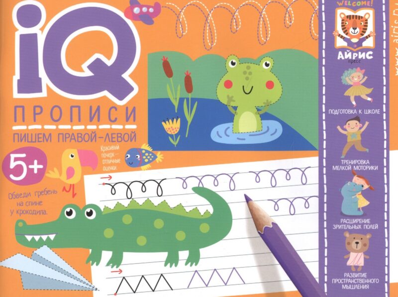 IQ-прописи. Пишем правой-левой. Прописи для двух рук