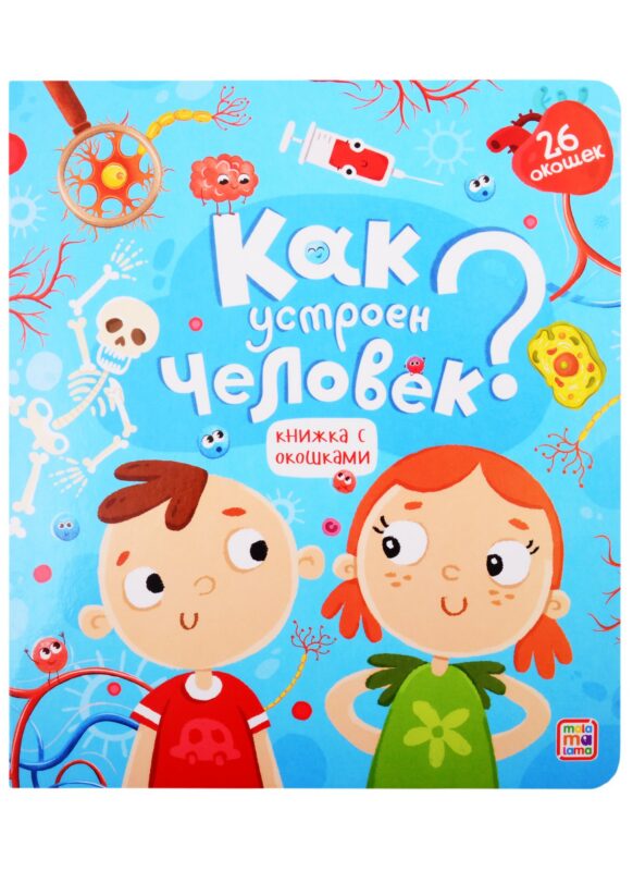 Как устроен человек