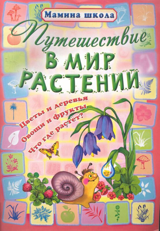 Путешествие в мир растений