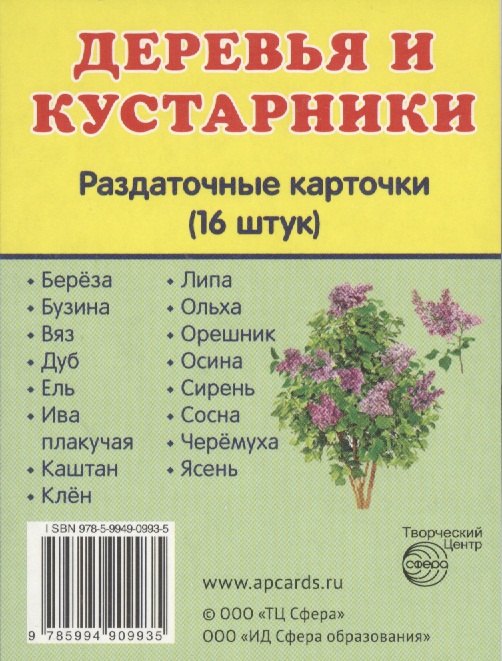 Деревья и кустарники. 16 раздаточных карточек с текстом