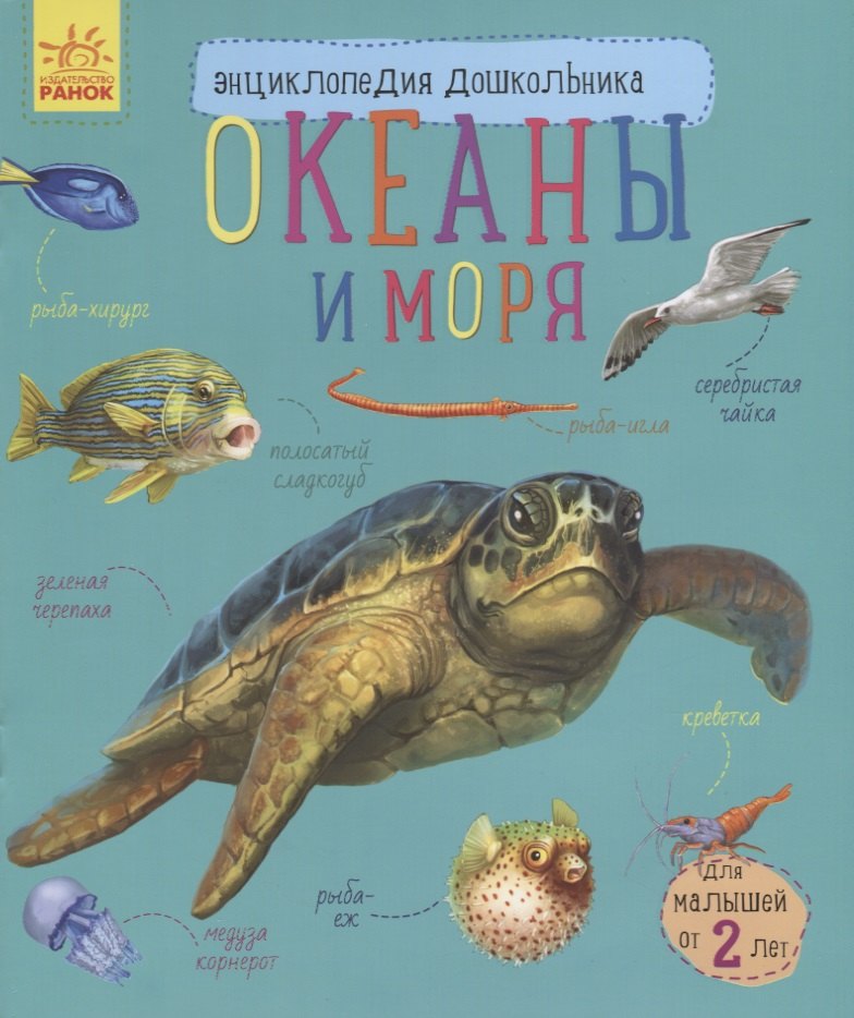 Океаны и моря