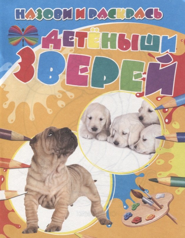 Детеныши зверей