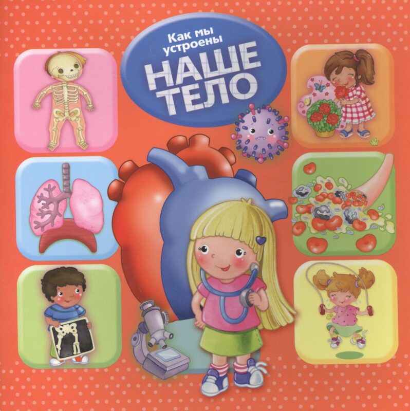 Как мы устроены. Наше тело