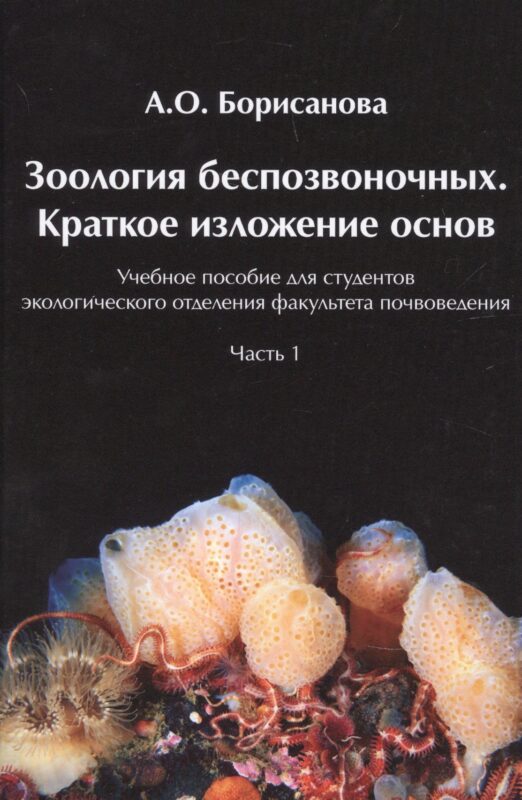 Зоология беспозвоночных. Краткое изложение основ. Часть1