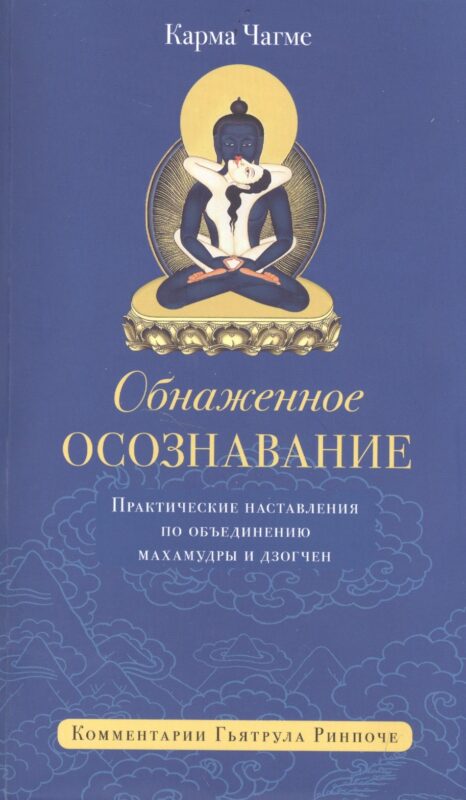 Обнажённое осознавание. Практические наставления по объединению махамудры и дзогчен