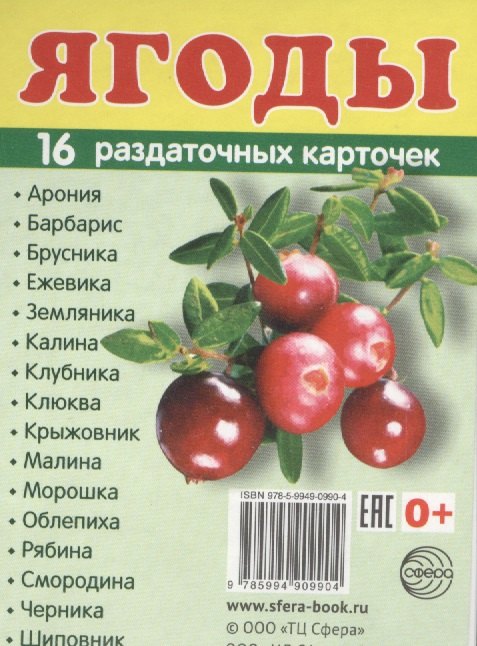 Дем. картинки СУПЕР Ягоды.16 раздаточных карточек с текстом (63х87мм)