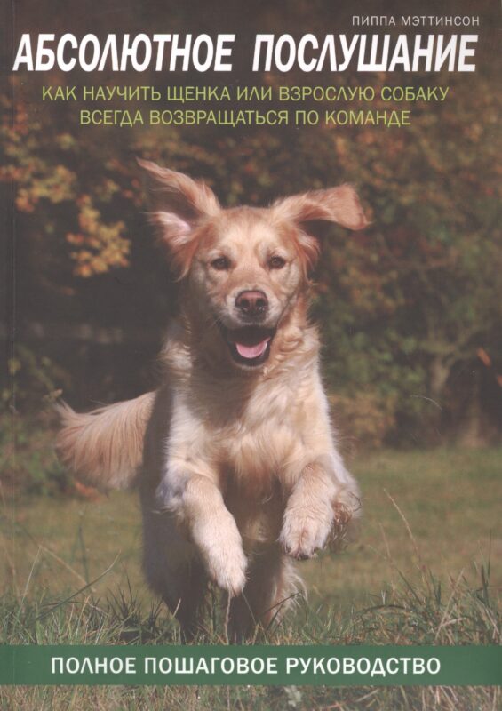 Абсолютное послушание. Как научить щенка или взрослую собаку всегда возвращаться по команде
