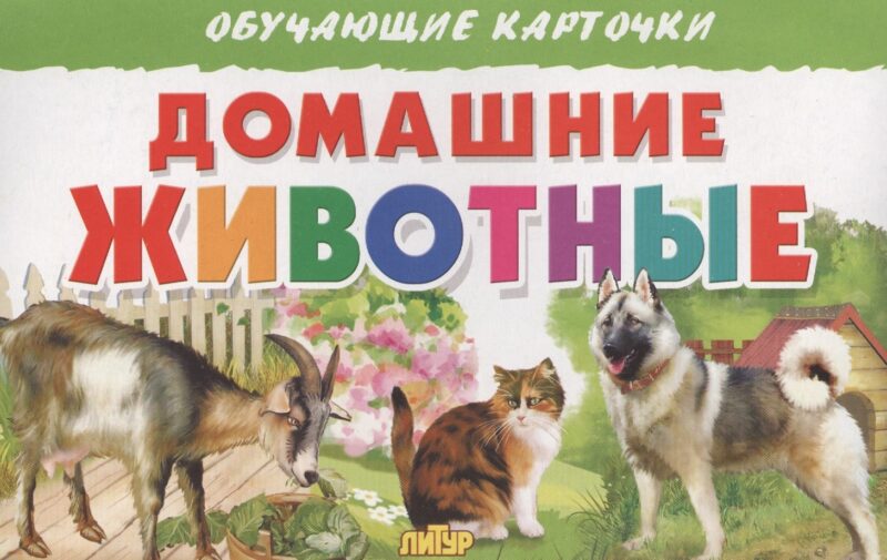 Обуч.карт.Домашние животные