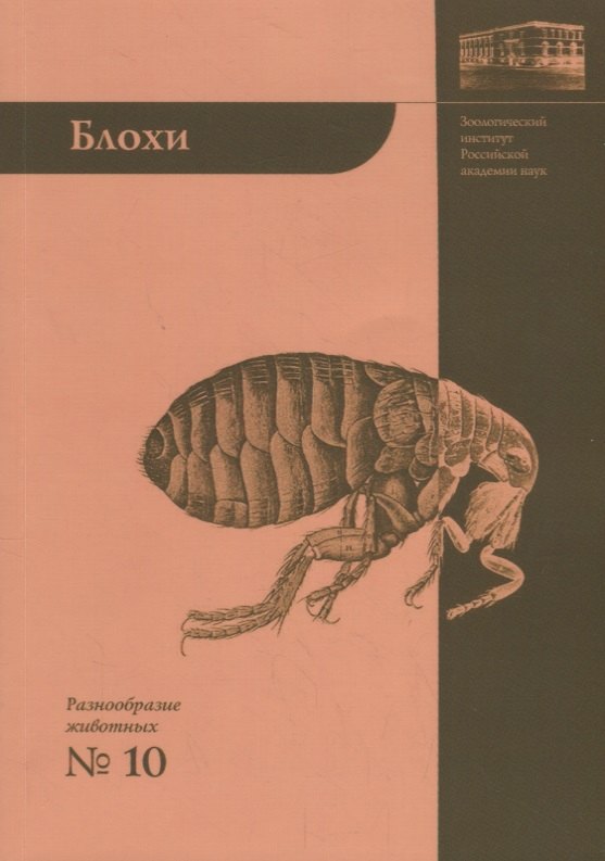 Блохи - домашние или домовые животные?