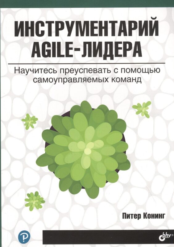 Инструментарий agile-лидера. Научитесь преуспевать с помощью самоуправляемых команд