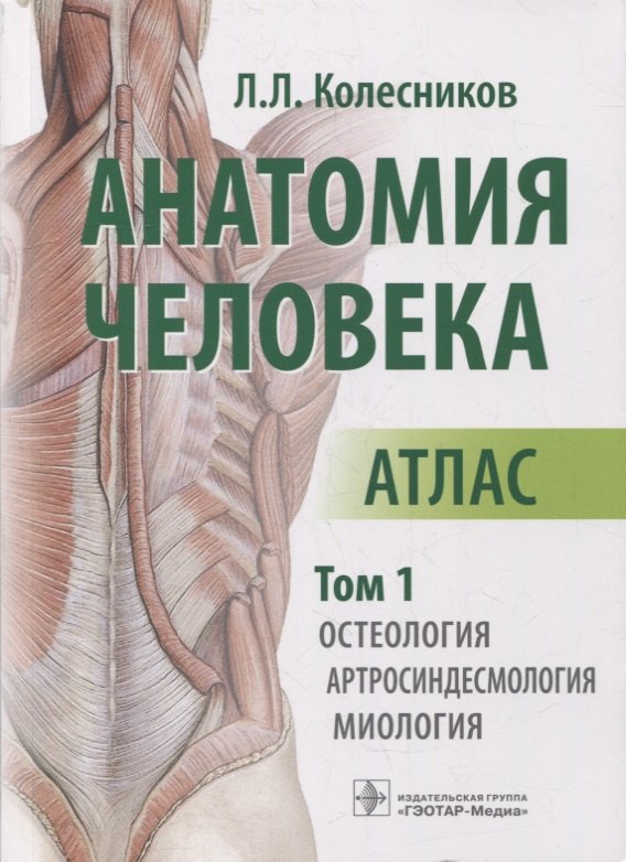 Анатомия человека: атлас: в 3-х томах. Том 1. Остеология, артросиндесмология, миология