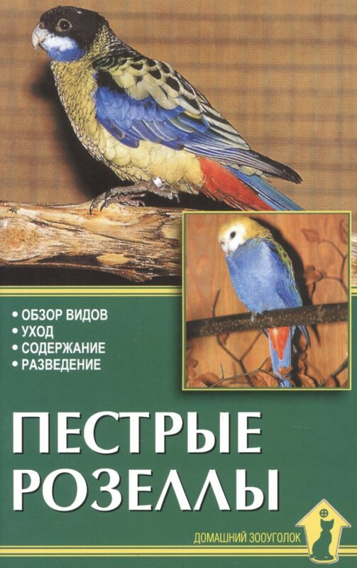 Пестрые розеллы. Обзор видов, уход, содержание