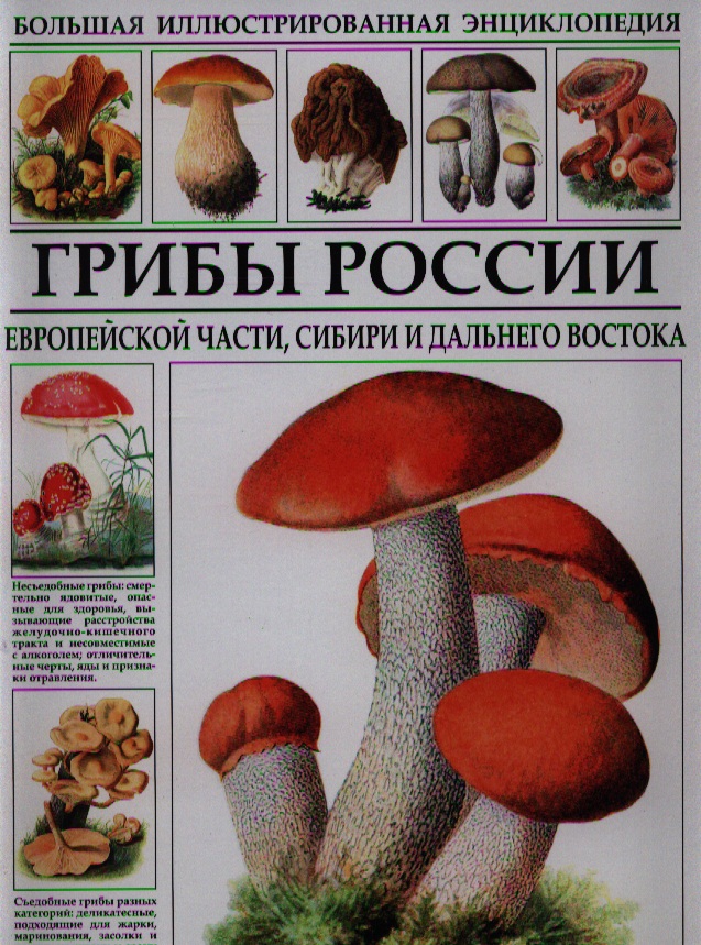Большая иллюстрированная энциклопедия. Грибы России.