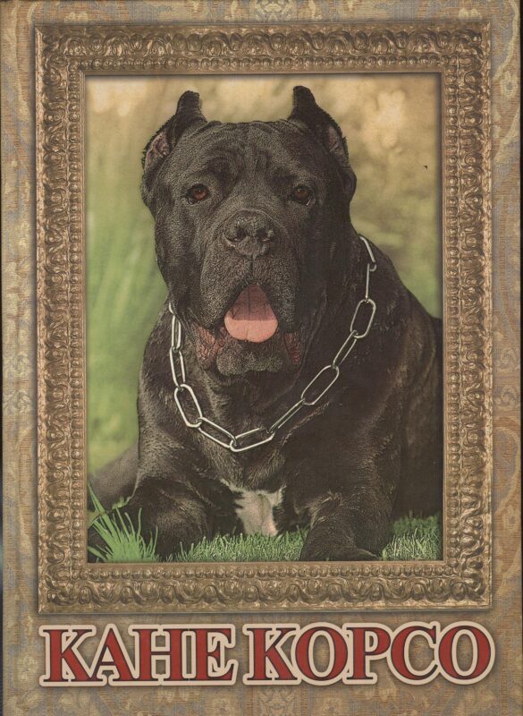 Кане корсо. альбом