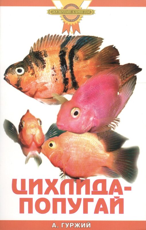 Цихлида-попугай (цвет)