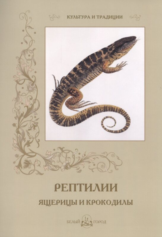 Рептилии. Ящерицы и крокодилы