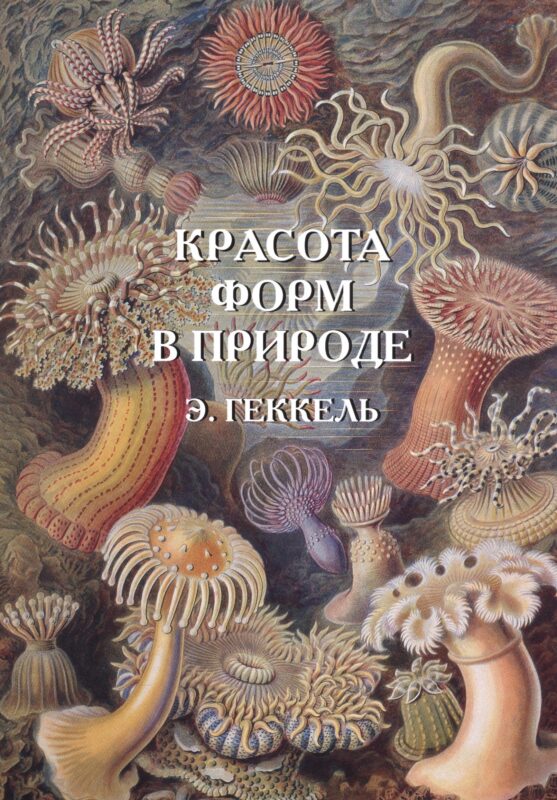 Красота форм в природе. Э. Геккель