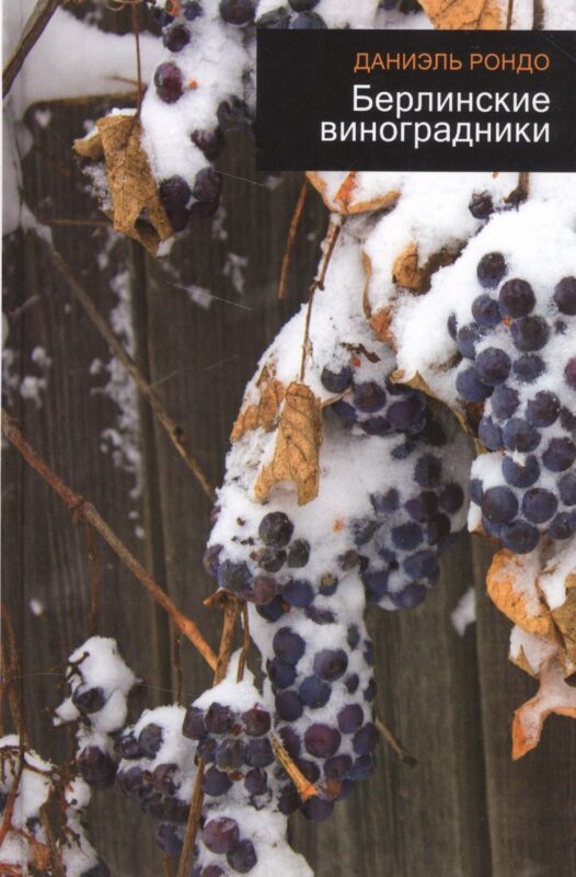 Берлинские виноградники