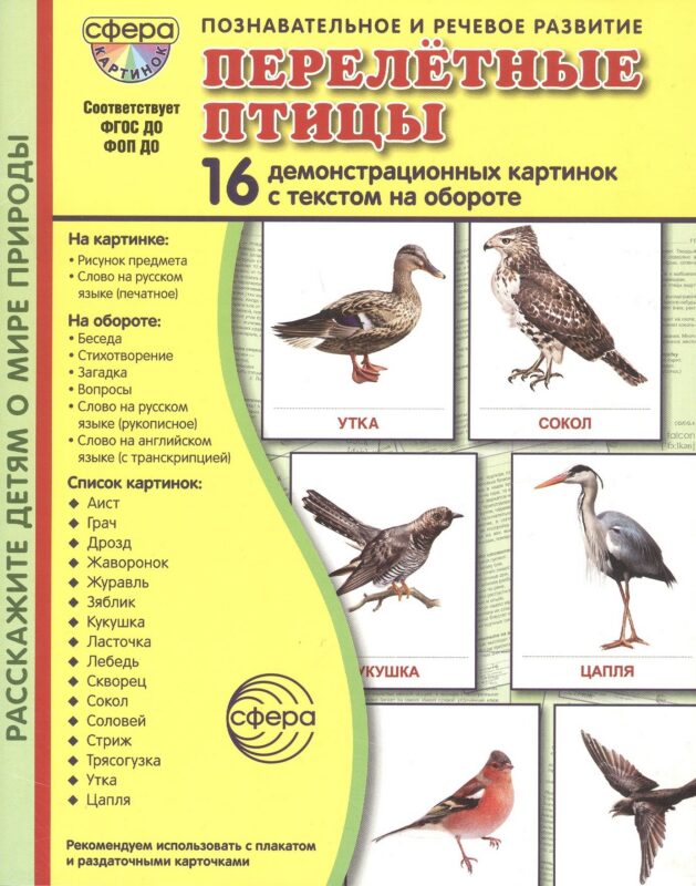 Перелётные птицы: 16 демонстрационных картинок с текстом на обороте