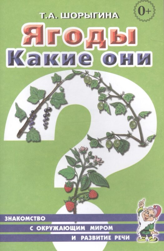 Ягоды. Какие они? Знакомство с окружающим миром и развитие речи