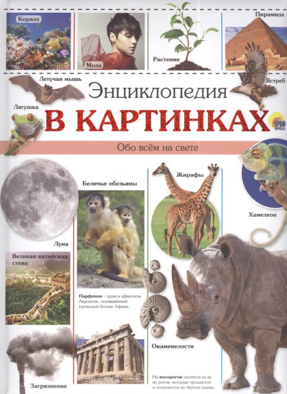 Энциклопедия в картинках