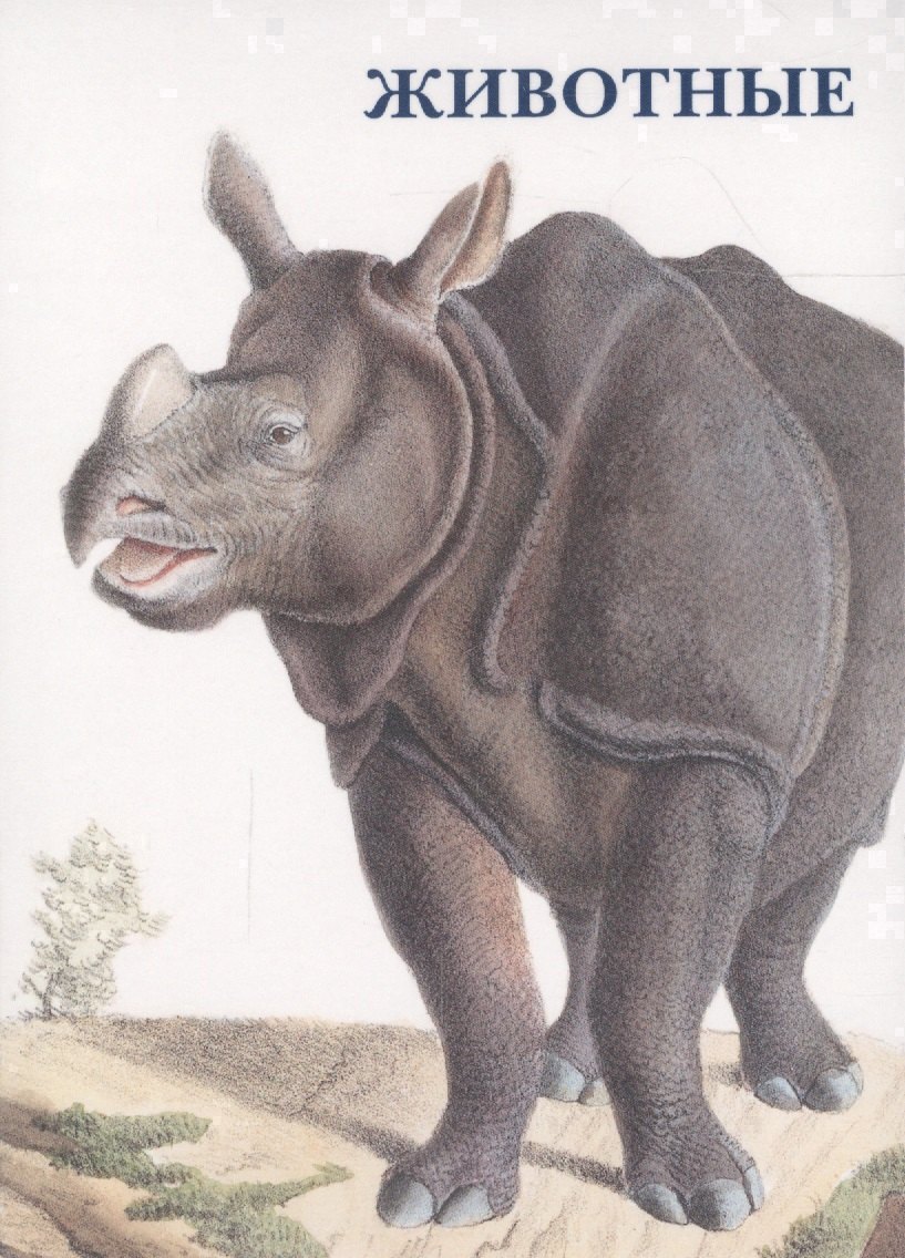 Животные. Набор открыток