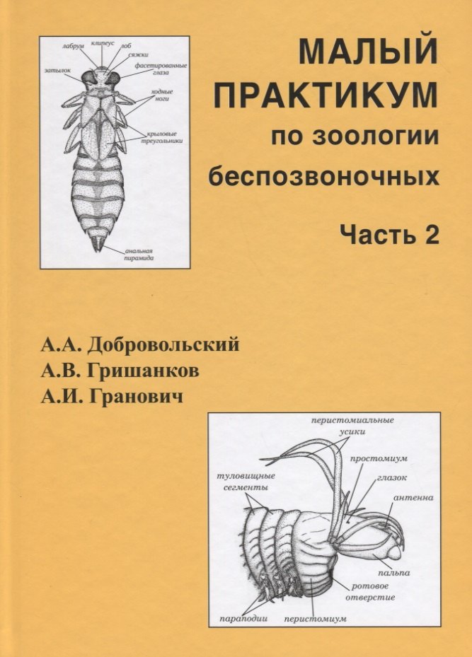 Малый практикум по зоологии беспозвоночных. Часть 2