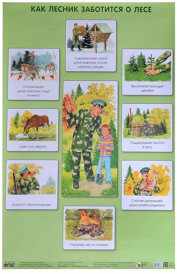 Как лесник заботится о лесе 50 x 69