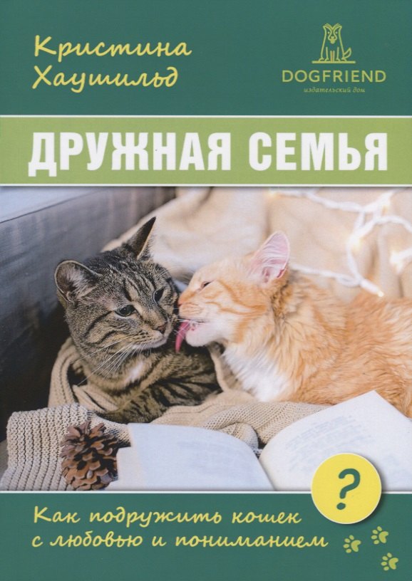 Дружная семья. Как подружить кошек с любовью и пониманием?