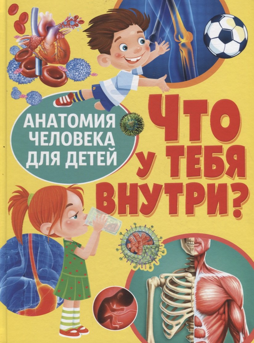 Что у тебя внутри? Анатомия человека для детей