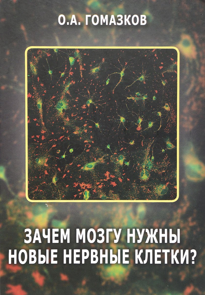 Зачем мозгу нужны новые клетки?