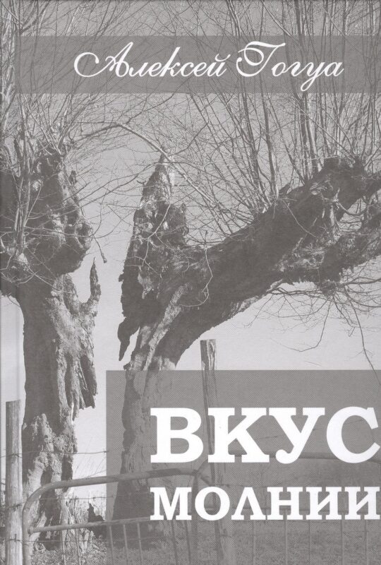 Вкус молнии. Рассказы