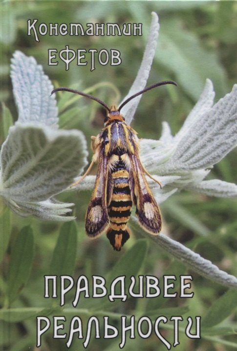 Правдивее реальности