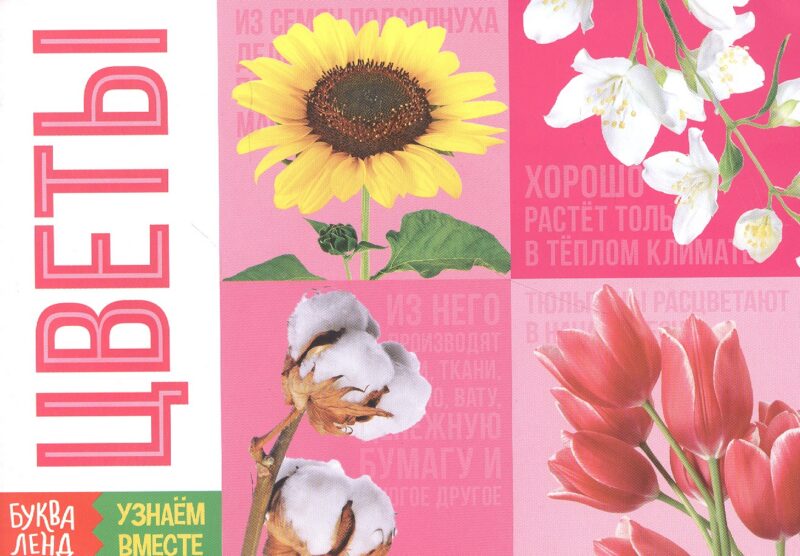 Обучающая книга «Цветы»