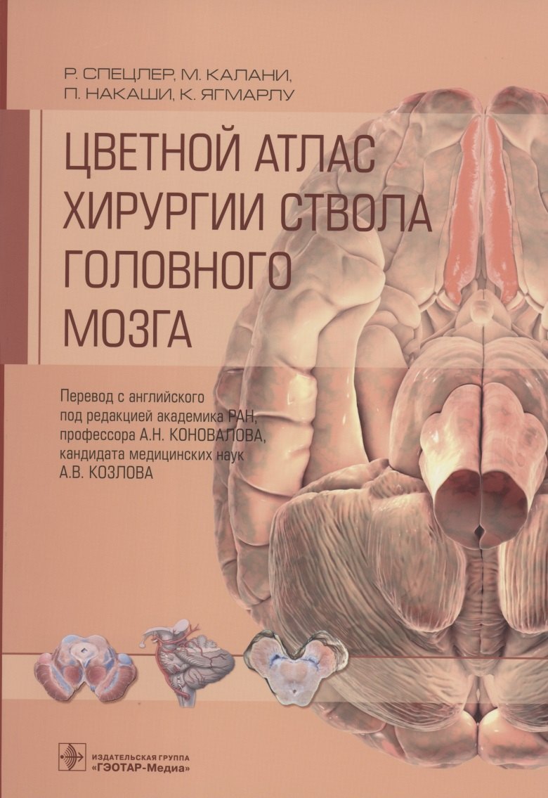 Цветной атлас хирургии ствола головного мозга