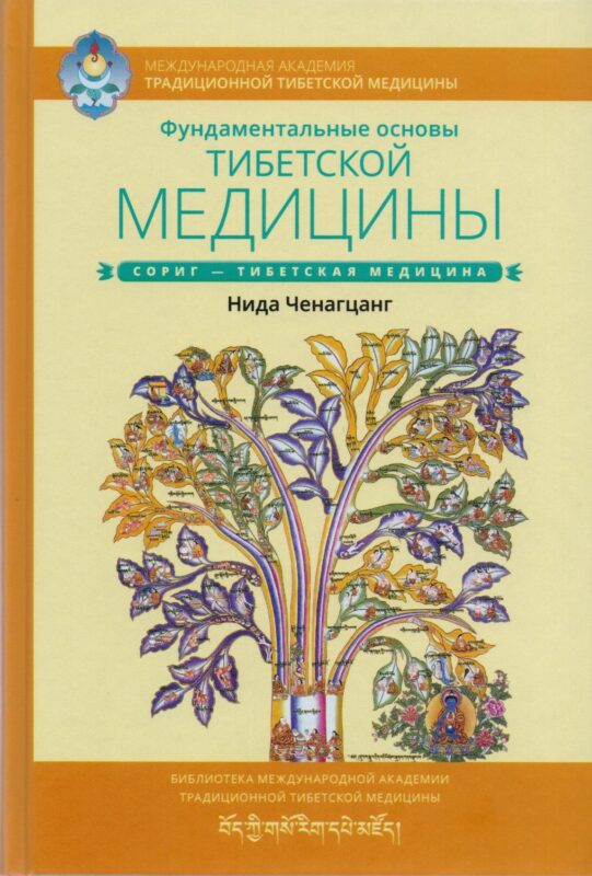 Фундаментальные основы тибетской медицины