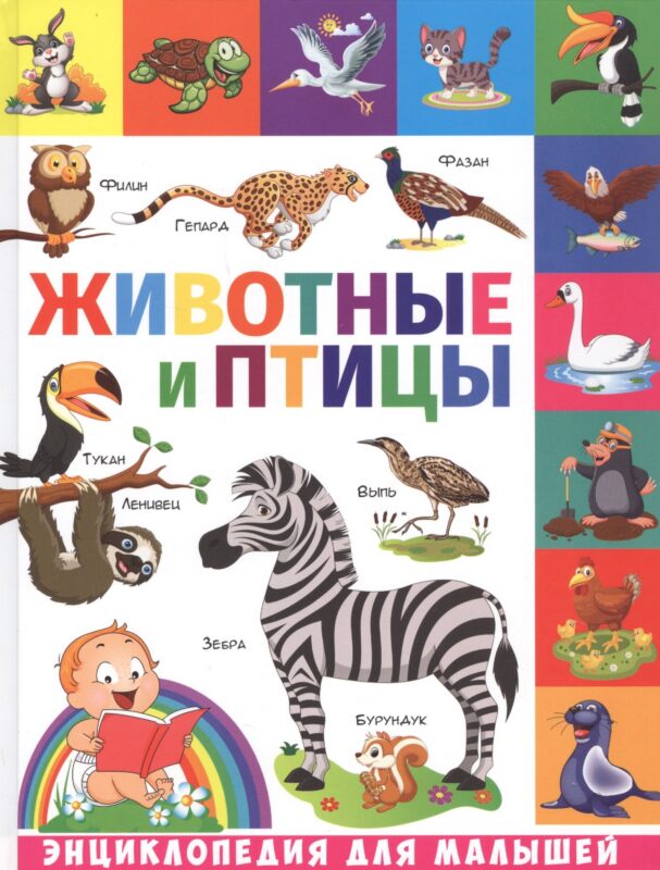 Животные и птицы