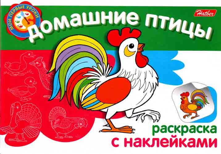 Домашние птицы Раскраска с наклейками (мягк) (Мои первые уроки) (Русанэк)